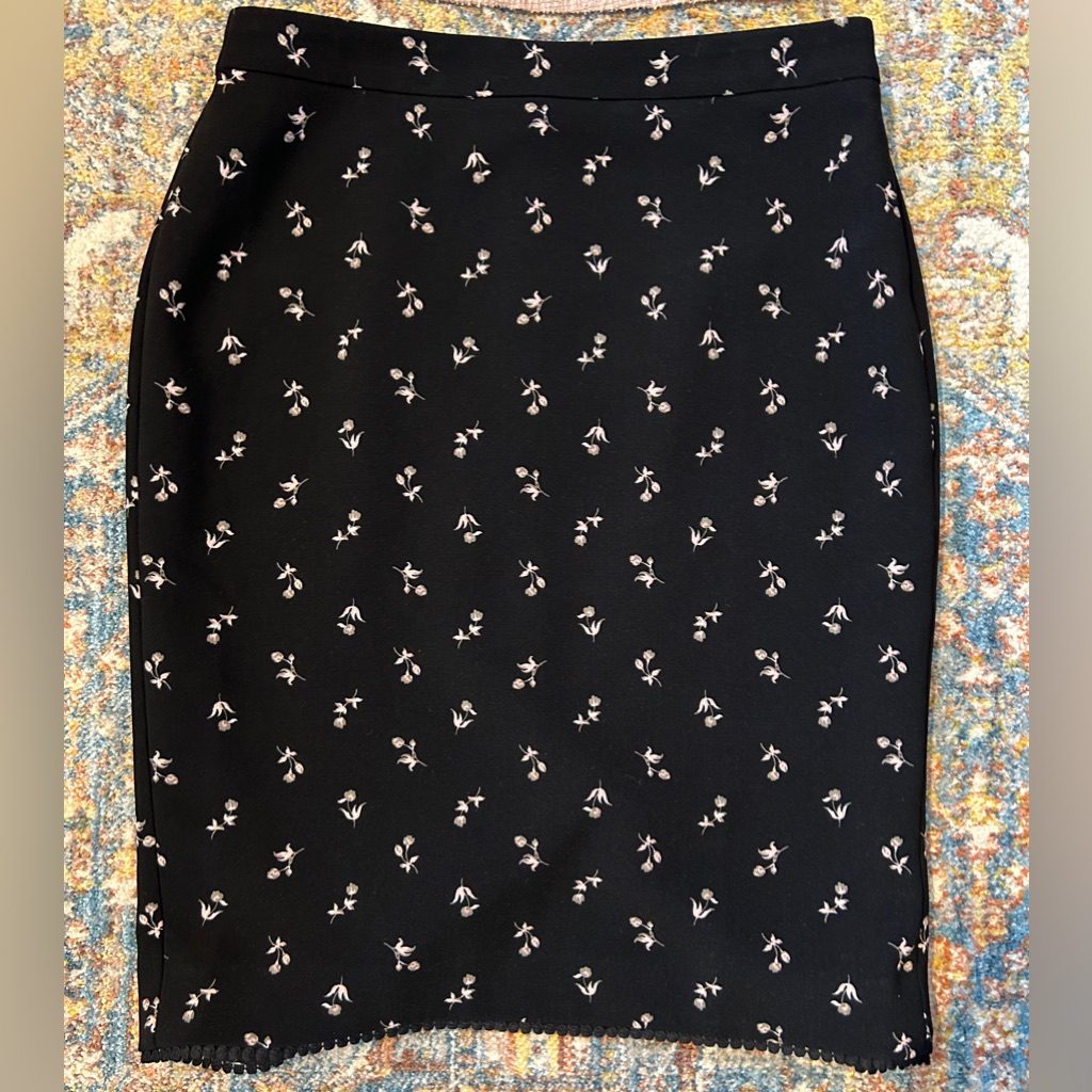 Ann Taylor Petite Skirt - Size 4p